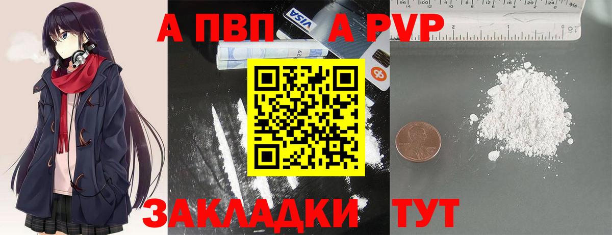 Альфа ПВП СК КРИС Балашов
