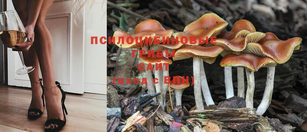 СК Медногорск
