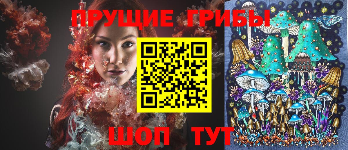 Балашов  Галлюциногенные грибы MAGIC MUSHROOMS  Вход с VPN 