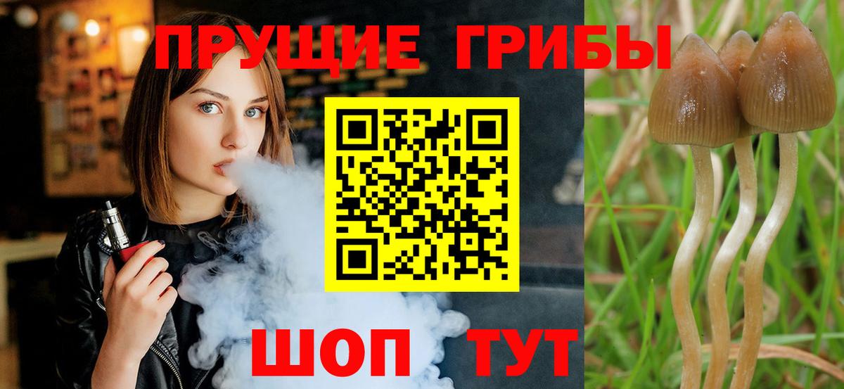 Псилоцибиновые грибы Magic Shrooms Балашов